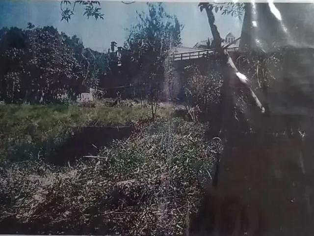 Terreno / Lote para Venda em São Paulo/SP Vila Tramontano