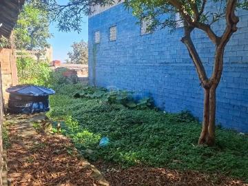Terreno / Lote para Venda em São Paulo/SP Vila União Zona Leste
