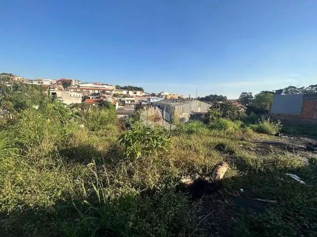 Terreno / Lote para Venda em São Paulo/SP Vila Verde