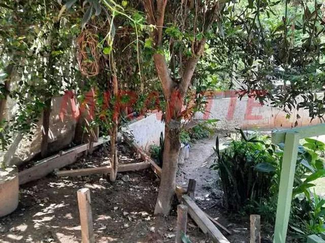 Terreno / Lote para Venda em São Paulo/SP Vila Vitório Mazzei