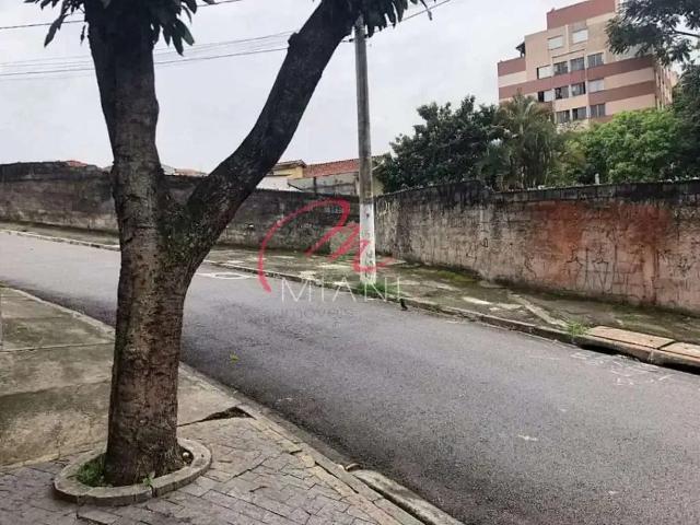 Terreno / Lote para Venda em São Paulo/SP Vila Zulmira