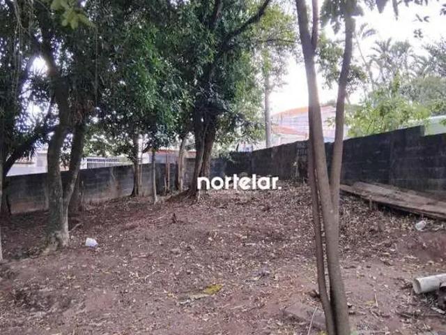 Terreno / Lote para Venda em São Paulo/SP Vila Zat