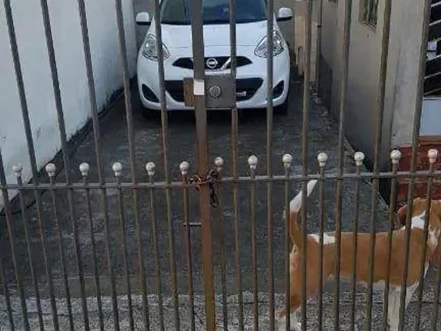 Terreno / Lote para Venda em São Paulo/SP Vila Zelina