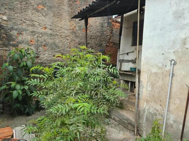 Terreno / Lote para Venda em São Paulo/SP Água Fria