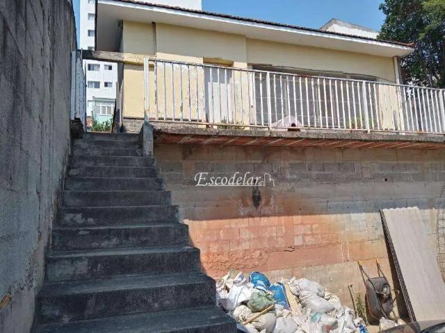 Terreno / Lote para Venda em São Paulo/SP Água Fria