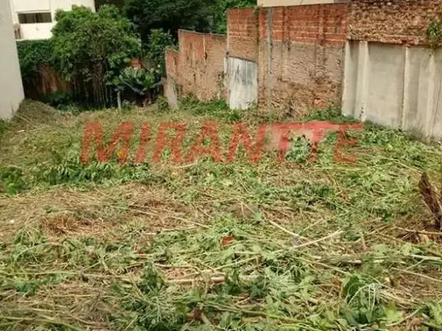 Terreno / Lote para Venda em São Paulo/SP Água Fria