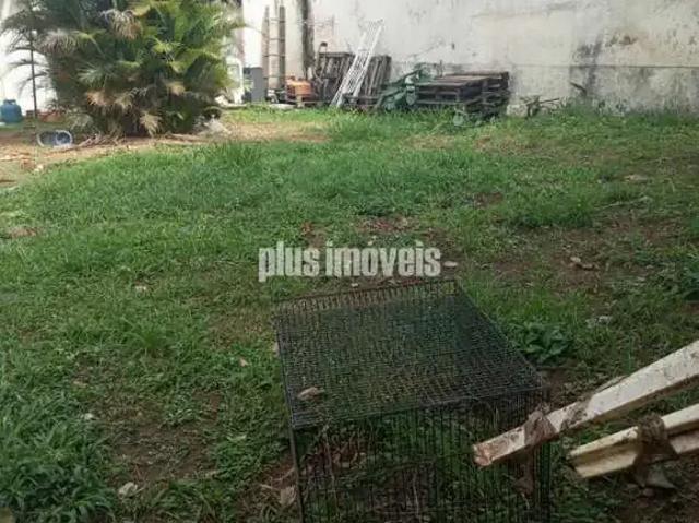 Terreno / Lote para Venda em São Paulo/SP Alto da Boa Vista