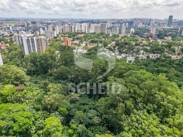 Terreno / Lote para Venda em São Paulo/SP Alto da Boa Vista