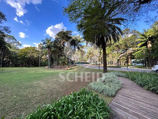 Terreno / Lote para Venda em São Paulo/SP Alto da Boa Vista