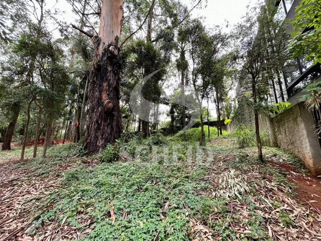 Terreno / Lote para Venda em São Paulo/SP Alto da Boa Vista