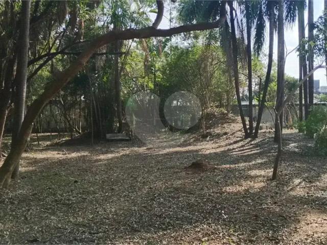Terreno / Lote para Venda em São Paulo/SP Alto da Boa Vista