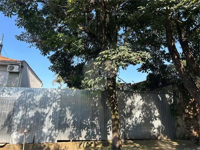 Terreno / Lote para Venda em São Paulo/SP Alto da Boa Vista