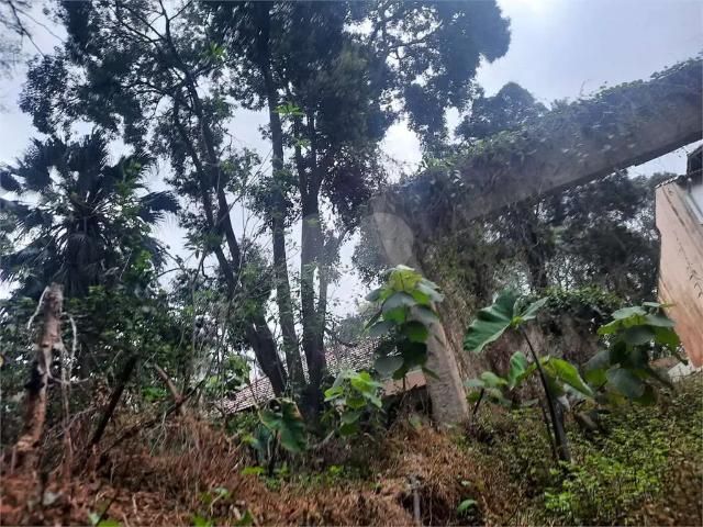 Terreno / Lote para Venda em São Paulo/SP Alto da Boa Vista
