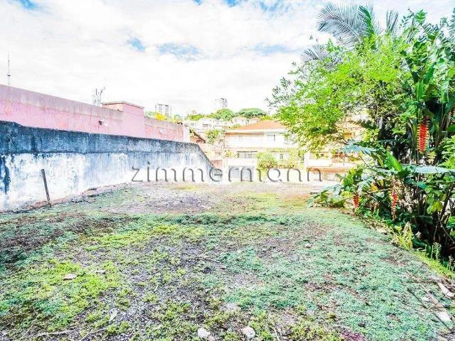 Terreno / Lote para Venda em São Paulo/SP Alto da Lapa