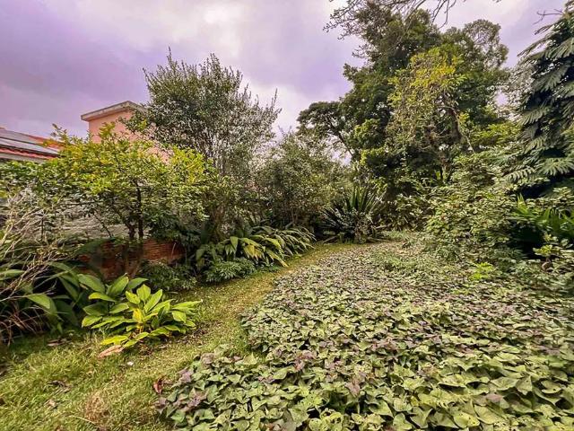 Terreno / Lote para Venda em São Paulo/SP Alto de Pinheiros