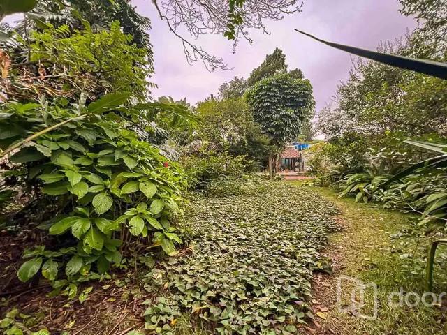 Terreno / Lote para Venda em São Paulo/SP Alto de Pinheiros