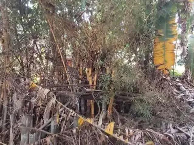 Terreno / Lote para Venda em São Paulo/SP Americanópolis