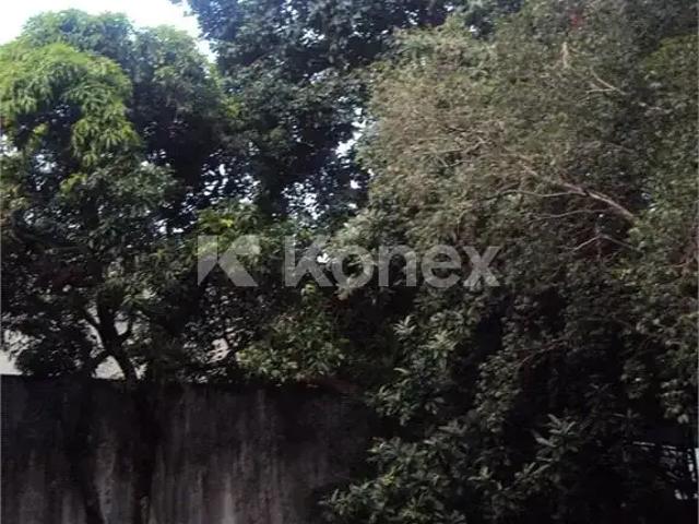 Terreno / Lote para Venda em São Paulo/SP Artur Alvim 1 Quartos
