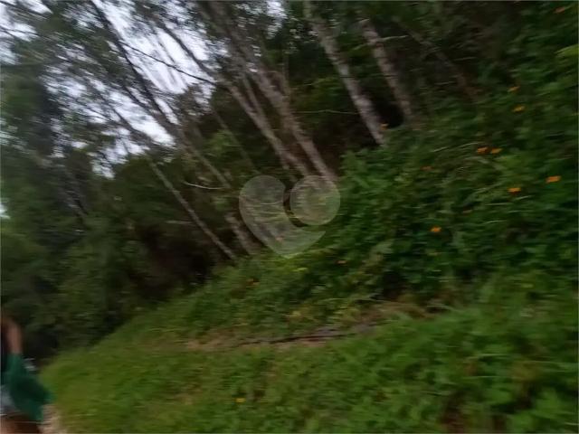 Terreno / Lote para Venda em São Paulo/SP Pedreira