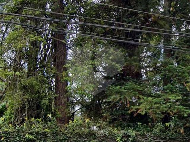 Terreno / Lote para Venda em São Paulo/SP Barro Branco Zona Norte