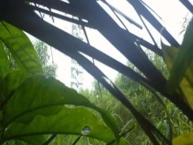 Terreno / Lote para Venda em São Paulo/SP Brooklin