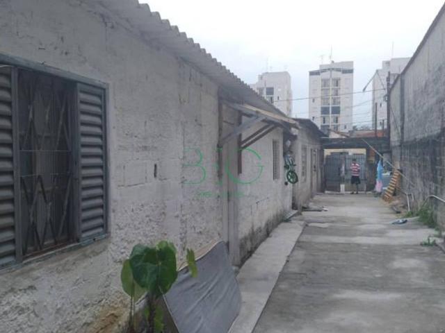 Terreno / Lote para Venda em São Paulo/SP Burgo Paulista