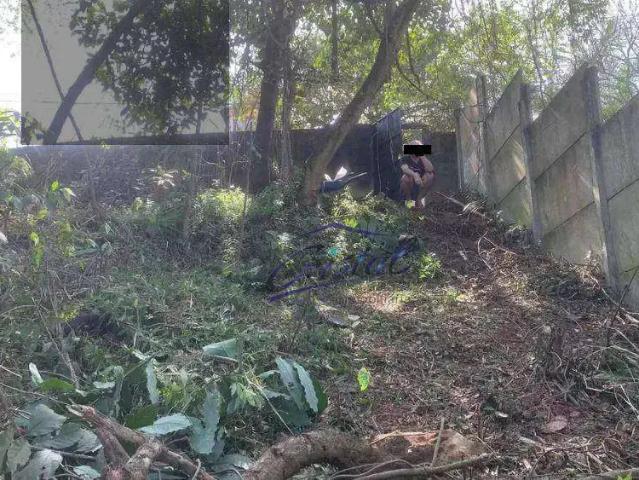 Terreno / Lote para Venda em São Paulo/SP Butantã