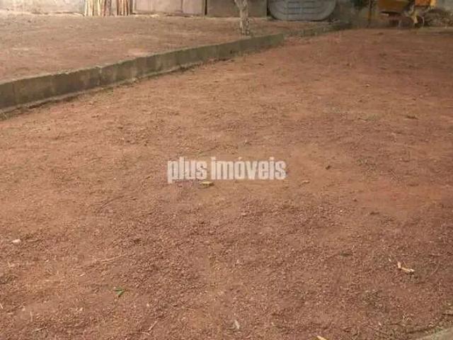 Terreno / Lote para Venda em São Paulo/SP Butantã
