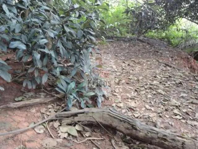 Terreno / Lote para Venda em São Paulo/SP Butantã