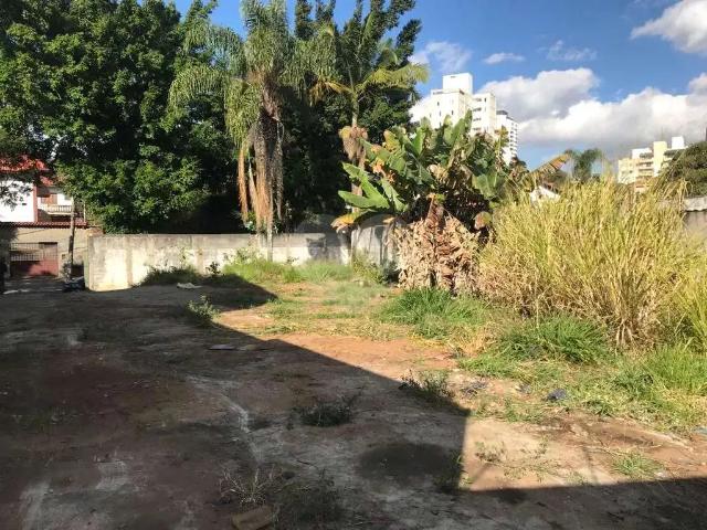 Terreno / Lote para Venda em São Paulo/SP Butantã