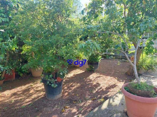 Terreno / Lote para Venda em São Paulo/SP Butantã