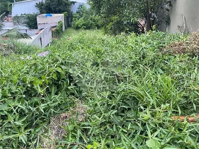 Terreno / Lote para Venda em São Paulo/SP Butantã