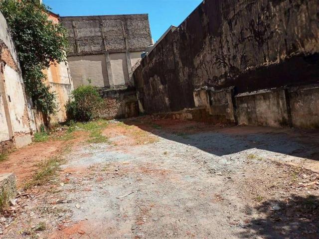Terreno / Lote para Venda em São Paulo/SP Cambuci
