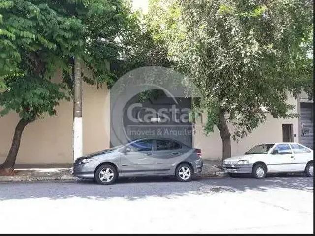 Terreno / Lote para Venda em São Paulo/SP Cambuci
