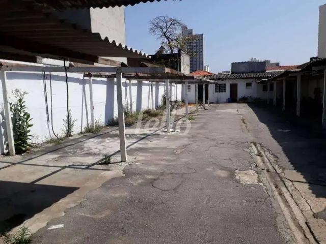 Terreno / Lote para Venda em São Paulo/SP Cambuci