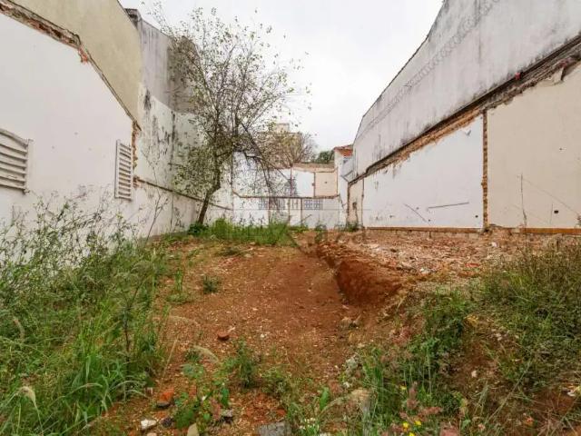 Terreno / Lote para Venda em São Paulo/SP Cambuci