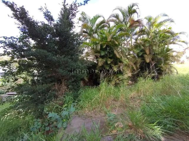 Terreno / Lote para Venda em São Paulo/SP Campo Belo