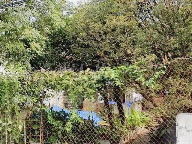Terreno / Lote para Venda em São Paulo/SP Campo Belo