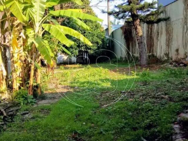 Terreno / Lote para Venda em São Paulo/SP Campo Belo