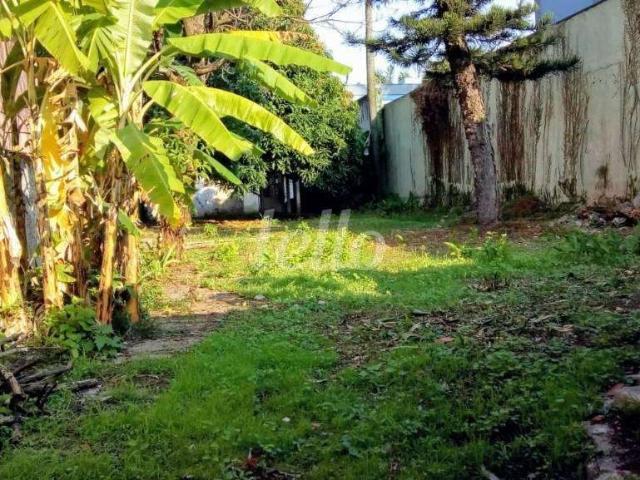 Terreno / Lote para Venda em São Paulo/SP Campo Belo