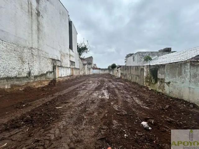 Terreno / Lote para Venda em São Paulo/SP Campo Grande