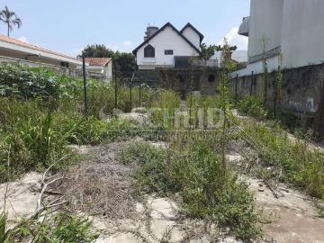 Terreno / Lote para Venda em São Paulo/SP Campo Grande