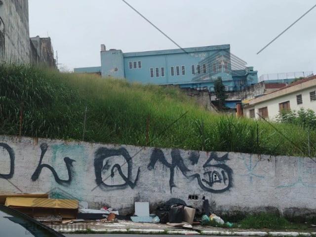 Terreno / Lote para Venda em São Paulo/SP Cangaíba