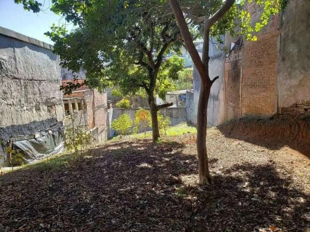 Terreno / Lote para Venda em São Paulo/SP Cangaíba