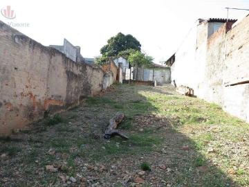Terreno / Lote para Venda em São Paulo/SP Cachoeirinha