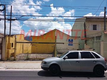 Terreno / Lote para Venda em São Paulo/SP Cachoeirinha