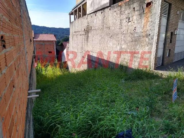 Terreno / Lote para Venda em São Paulo/SP Cachoeirinha