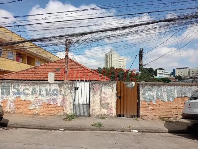 Terreno / Lote para Venda em São Paulo/SP Cachoeirinha
