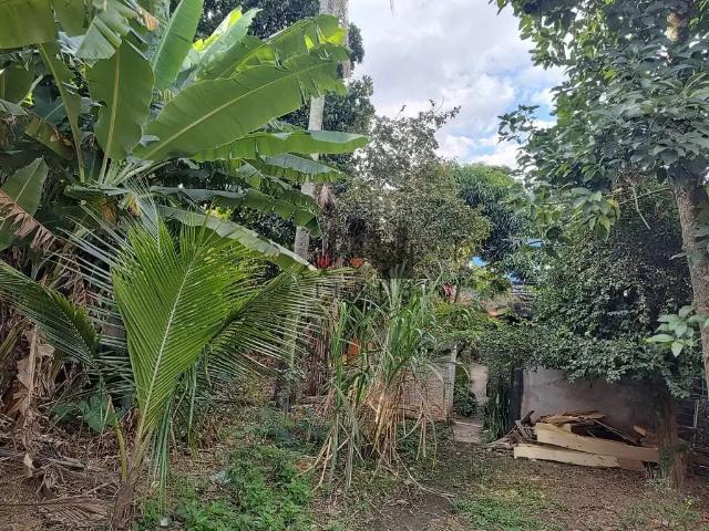 Terreno / Lote para Venda em São Paulo/SP Capão Redondo