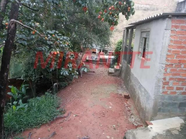 Terreno / Lote para Venda em São Paulo/SP Casa Verde